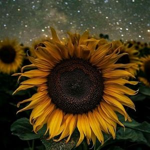 Meet your Posher, Katelyn